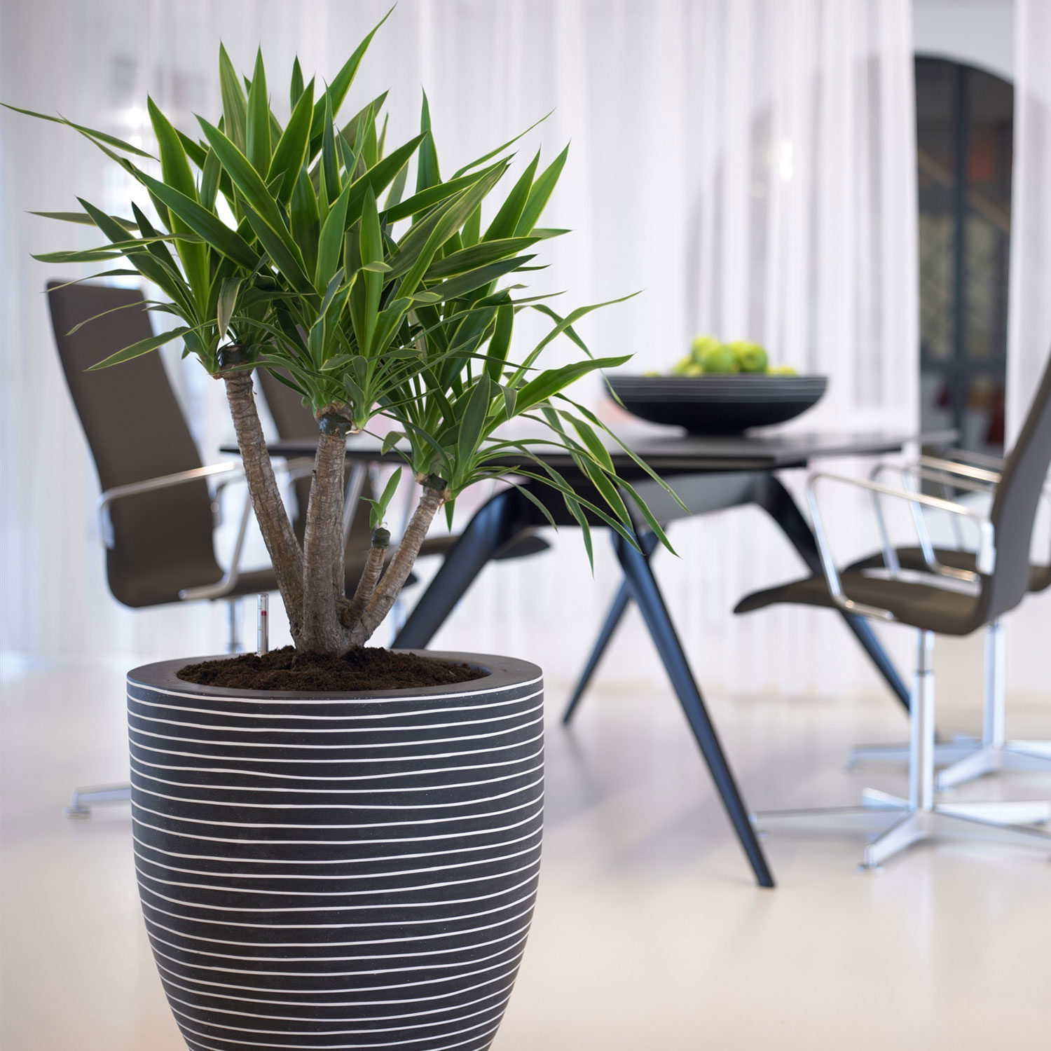 Interior design plant pots and flower boxes