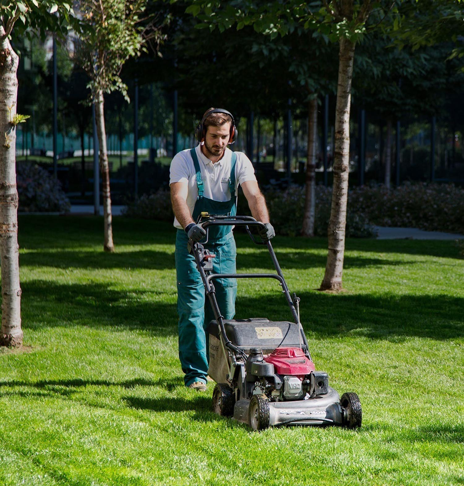 Manutenzione del verde per esterni