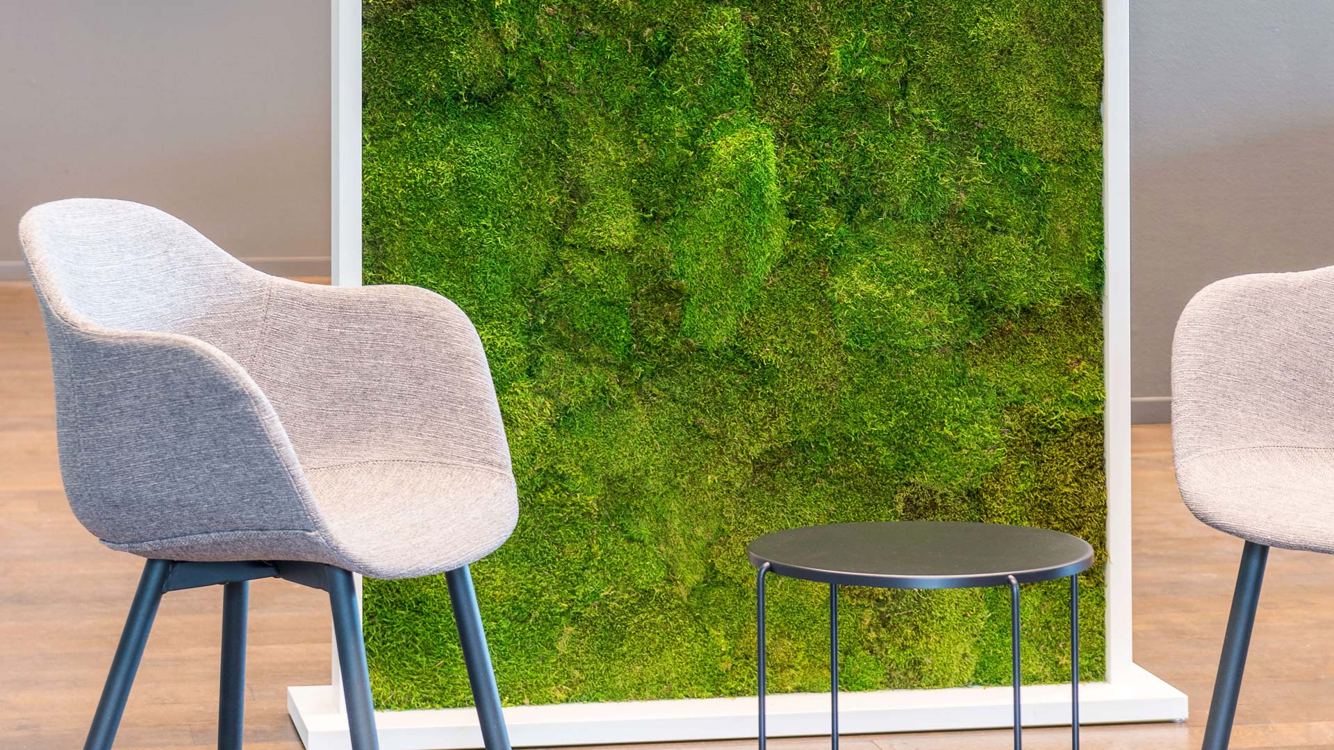Double-sided divider walls in stabilised lichen or moss