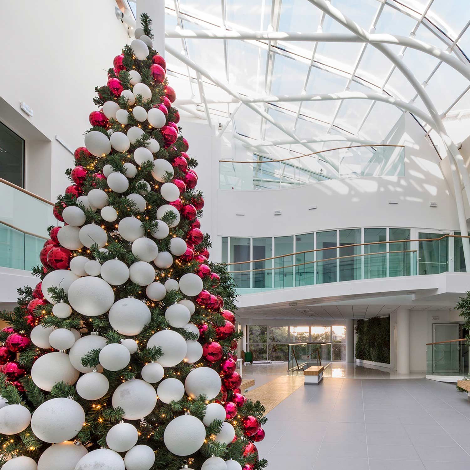 Noleggio alberi di Natale con addobbi e decorazioni