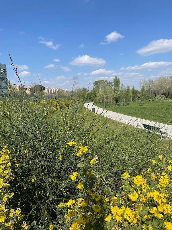 giardino urbano municipio 3 milano